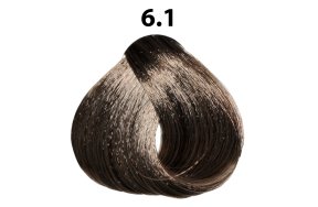 No 6.1 Haarfarbe  Dunkelblond Asche 100ml